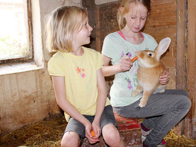 Kinder mit Kanninchen